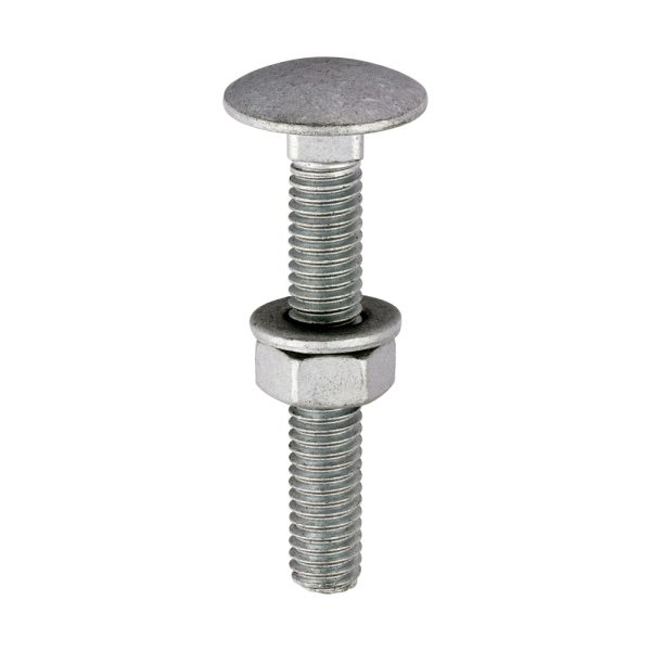Dome Head Carriage Bolt