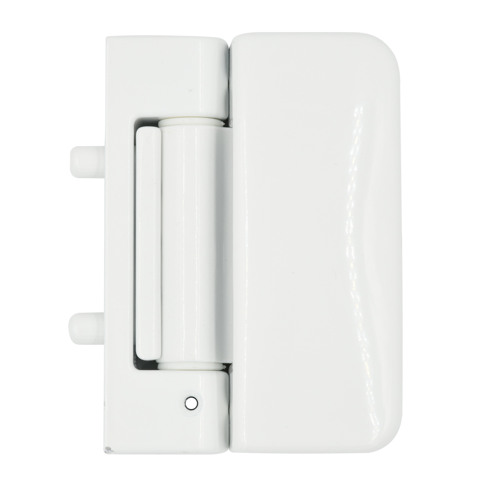 Evolution 3D Security Flag Hinge