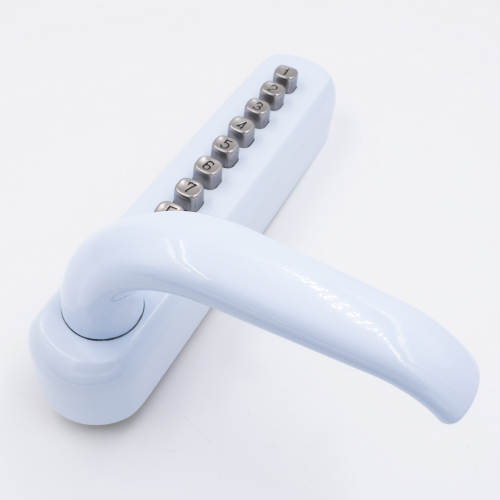 Borg 6100 Solo Digital Door Lock- For Retrofit Applications - Image 6